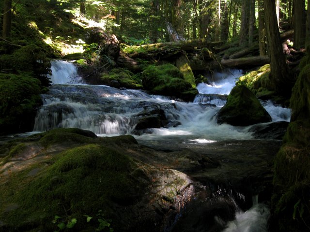 Paradise Creek-120.JPG - Panther Creek